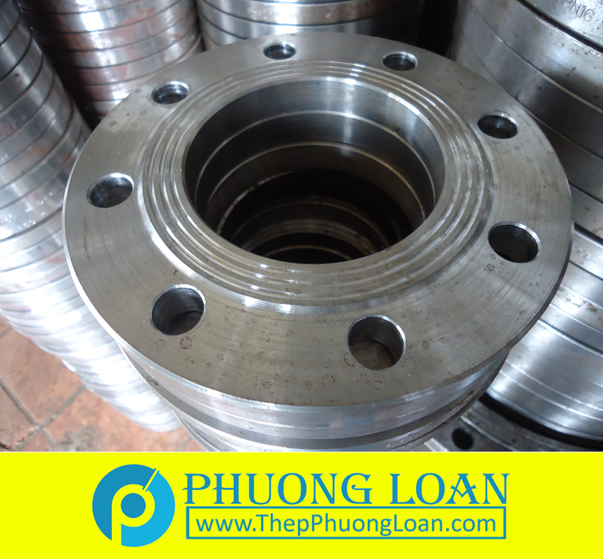 mặt bích tiêu chuẩn DIN 2573/256
